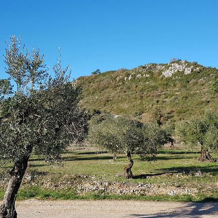 Casa Das Oliveiras Alvados Exteriör bild