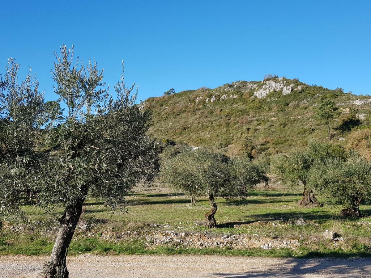 Casa Das Oliveiras Alvados Exteriör bild